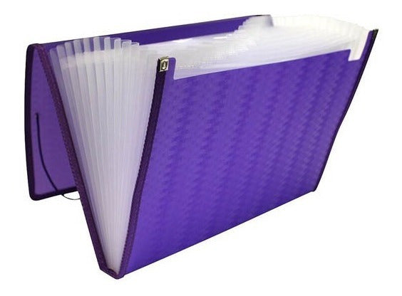 Archivo Expandible Carta A4 Oxford F904M