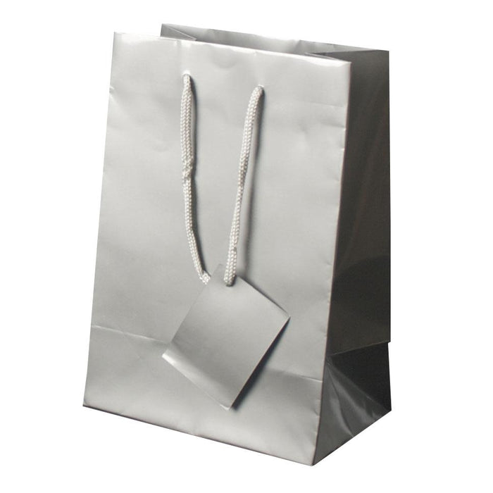 Bolsa De Regalo Chica Plata Brillante Janel 22 x 14 x 8 cm 1 pieza