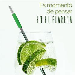 Set de popotes 9 piezas Crown Baccara acero inoxidable Eco Straw