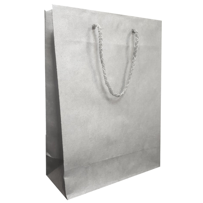 Bolsa De Regalo Kraf Mediana Plata  (22 x 9.5 x 30) cm Janel BKL003LS22