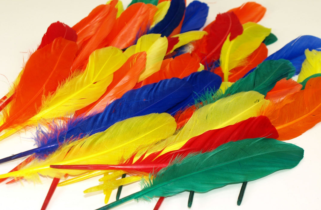 Plumas de Pavo 11" o 12" Rosa Mexicano con 10 piezas
